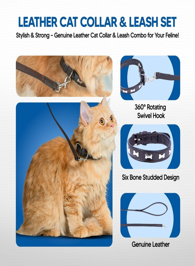 ADIL'S Adil’S Leather Cat Collar & Leash Set - Stylish Seven Bone Studded Design Collar, Genuine Leather, Adjustable Buckle & Secure 5ft Leash for Safe and Comfortable Outdoor Activity (Brown) - Image 5